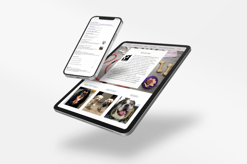 Building & Managing a  Website for Year-Over-Year&nbsp;Growth